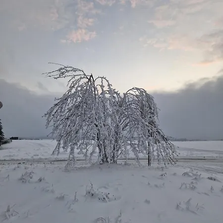 Waldblick Appartamento Stiege