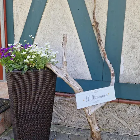 Waldblick Appartement *