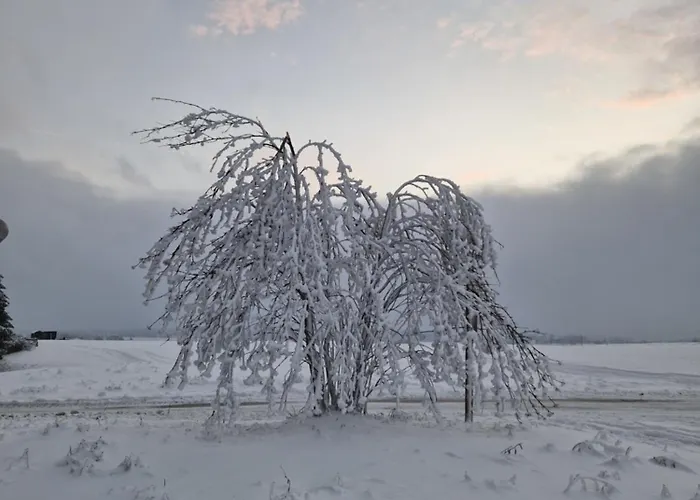 Waldblick Апартаменты Stiege